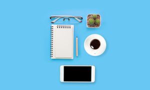 Simplify HR Authorizations with Transactions SU53 and SU56 - Mastering SAP